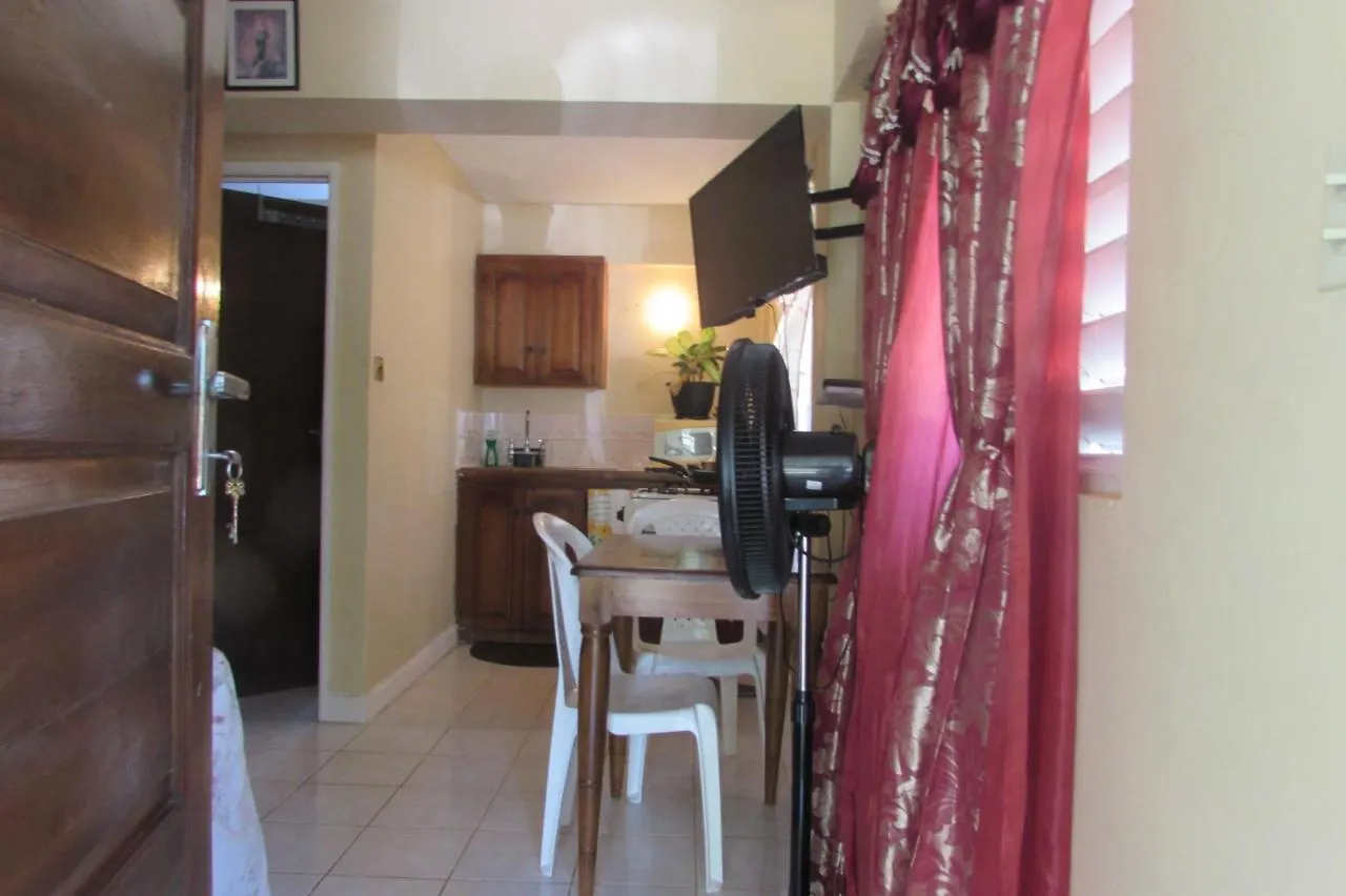 Nelsons Retreat Hotel Negril 0*,  Jamaica
