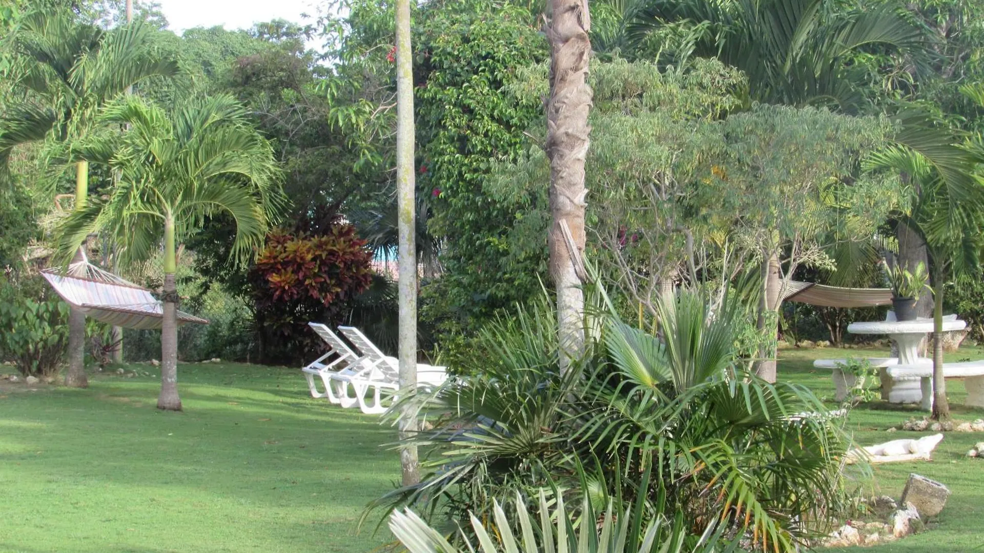 Nelsons Retreat Hotel Negril Jamaica