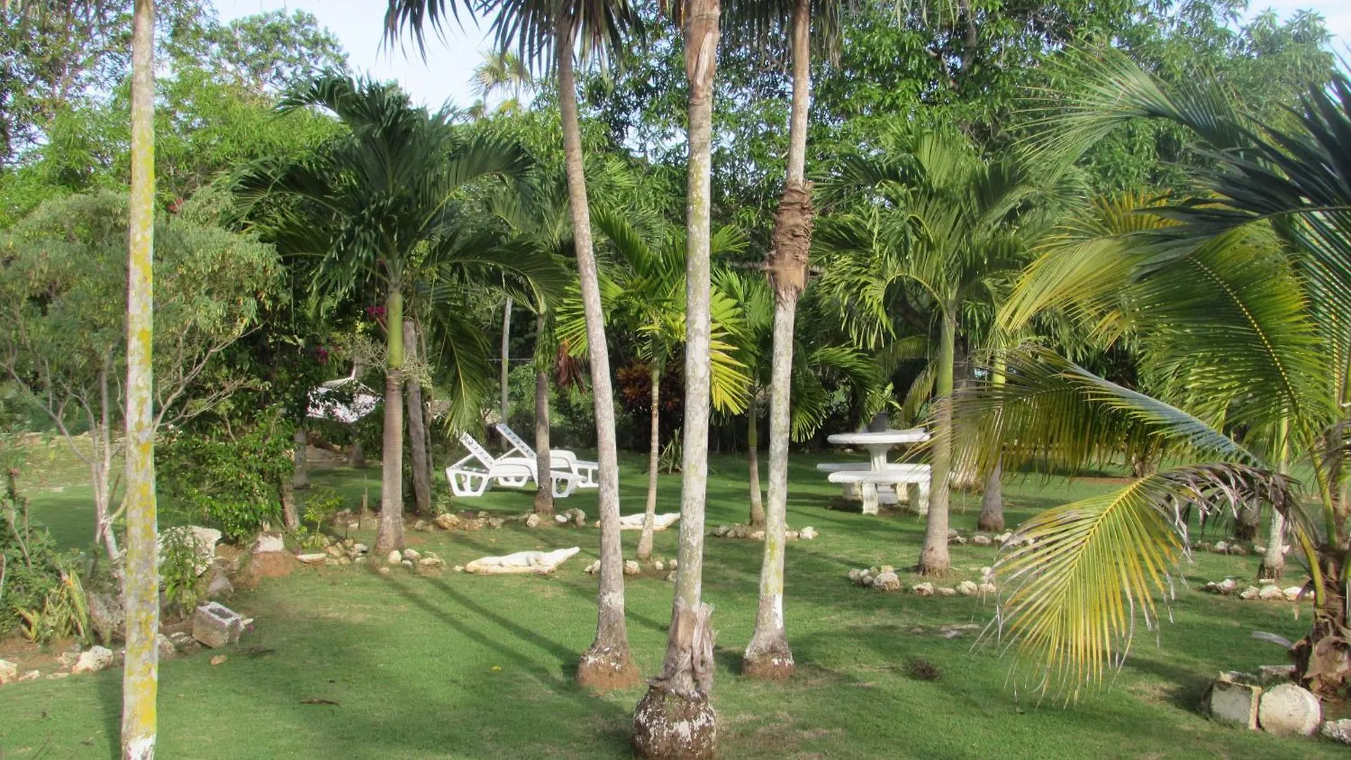 Nelsons Retreat Hotel Negril 0*,  Jamaica