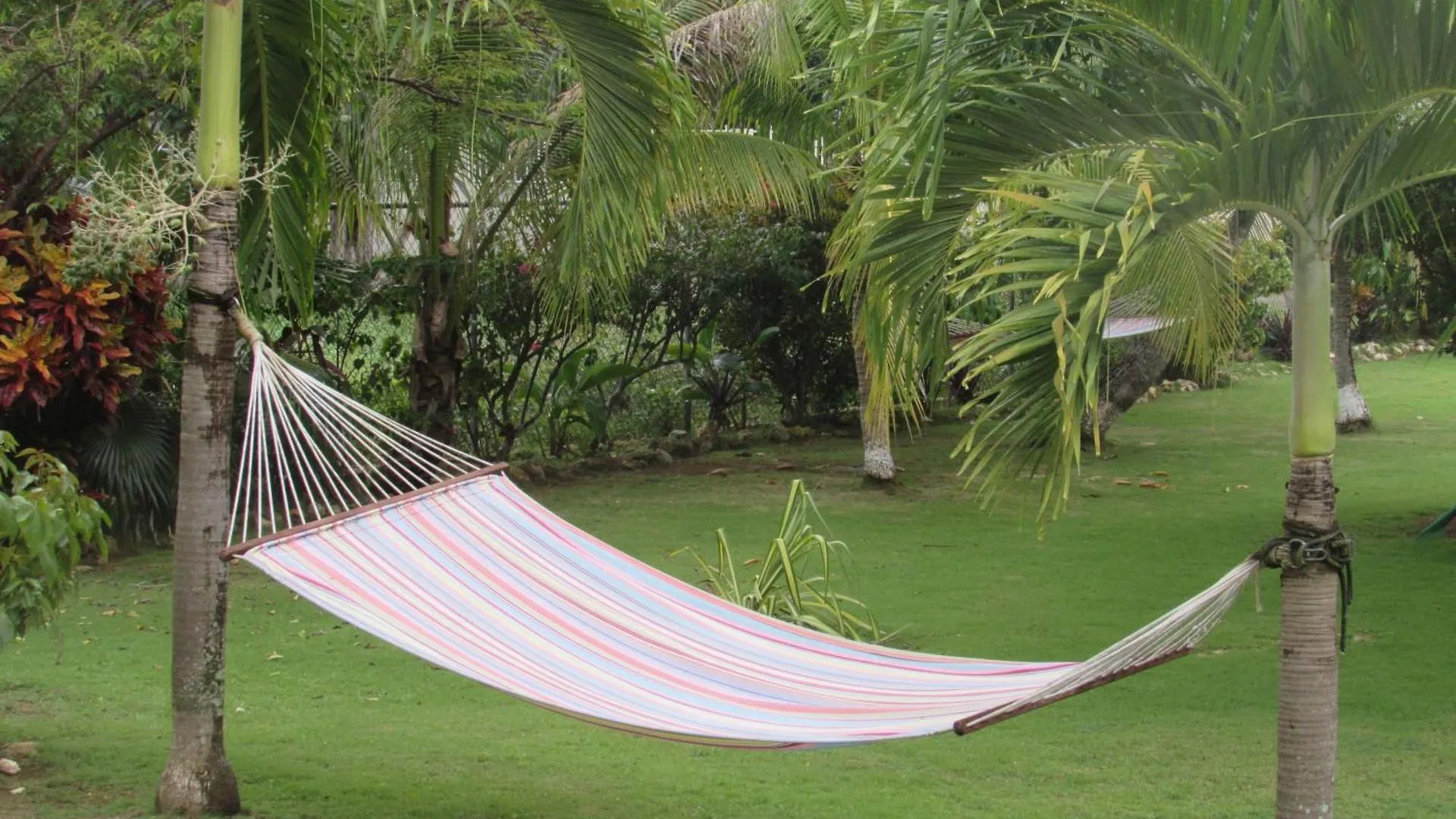 Nelsons Retreat Hotel Negril Guest house